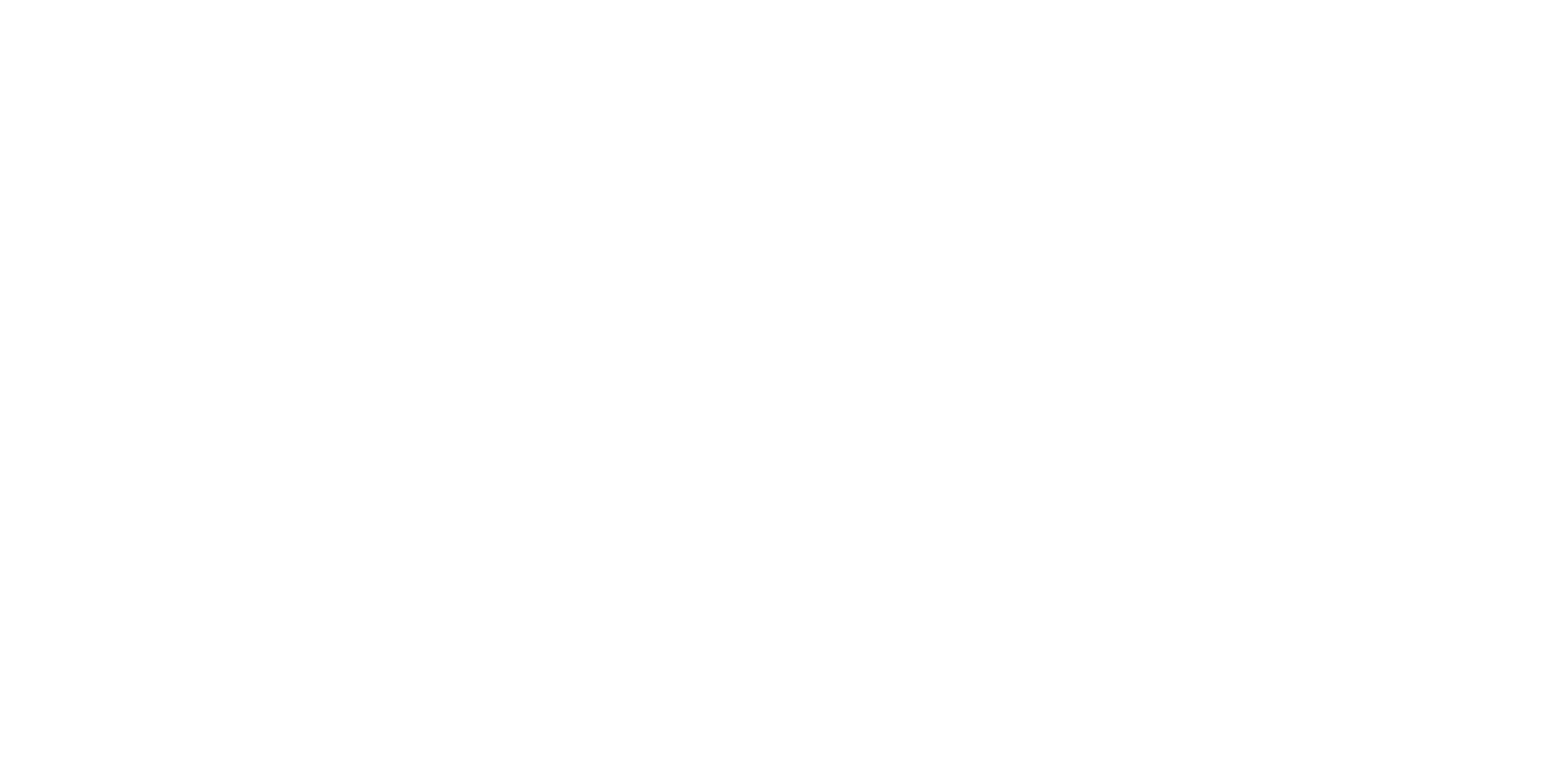 mailchimp-partner