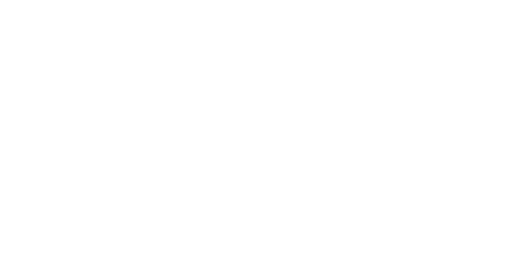 tiktok-partner