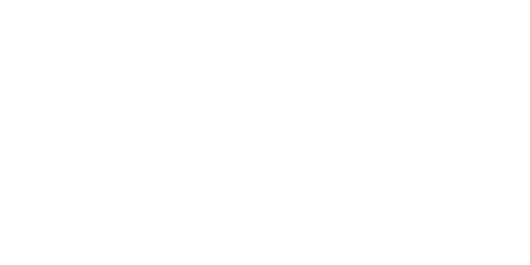 witz-partner